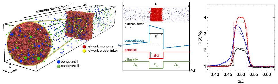 P6 Grafik